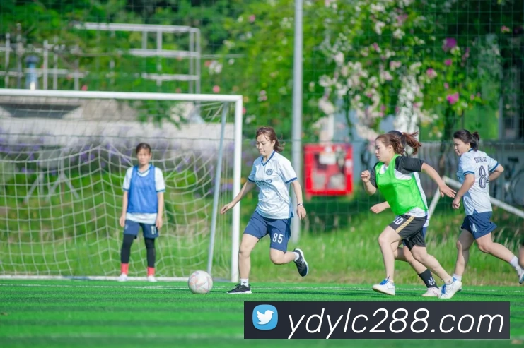 App Interface Preview