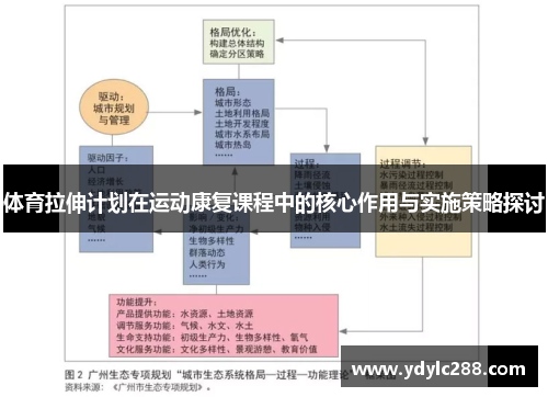 体育拉伸计划在运动康复课程中的核心作用与实施策略探讨